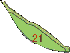 as-21+line.jpg